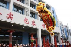 醒狮贺岁，半岛网页版页面-半岛online(中国)2019年开工大吉