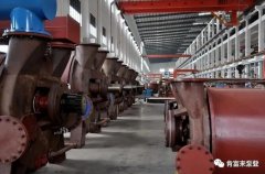 半岛网页版页面-半岛online(中国)被评为2019年度三水区骨干企业